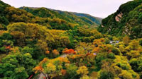 六盘山国家森林公园